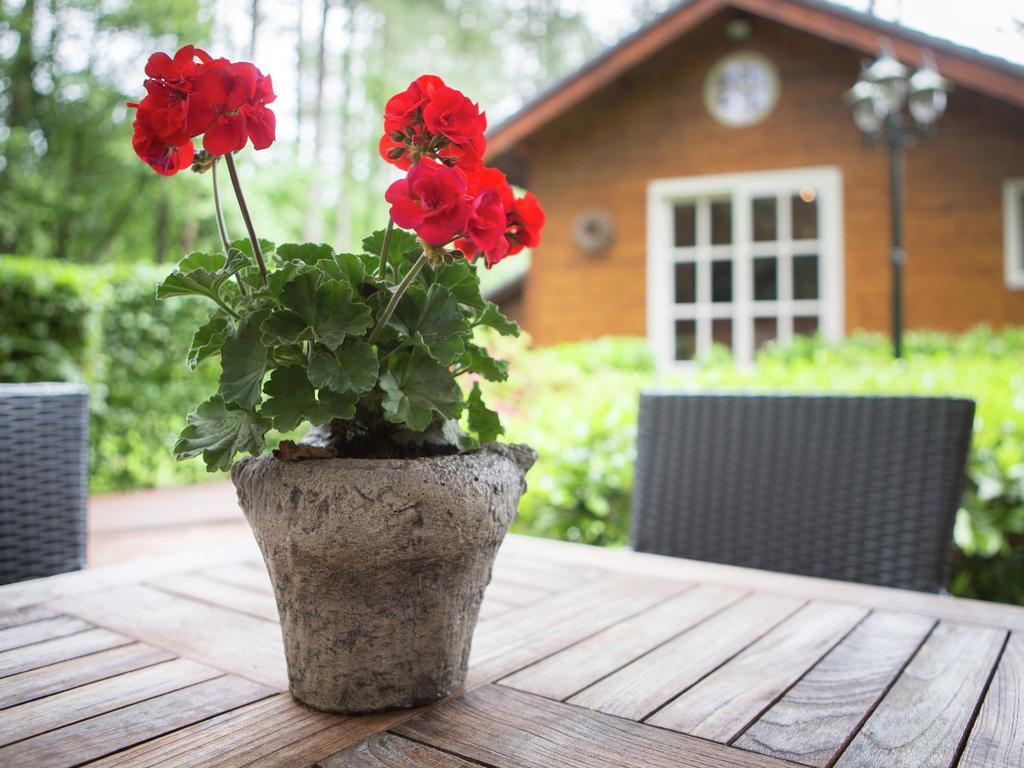 Villa Luxurious Chalet In Oud Turnhout With Large Garden Oud-Turnhout Exterior foto